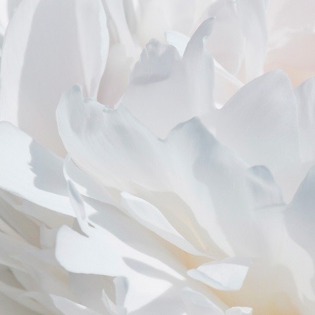 YODEYMA VÁLIA Eau de Parfum