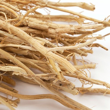 YODEYMA Oseus EDP