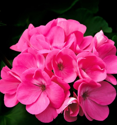 YODEYMA Root EDP 100ml